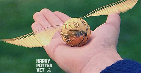 how to play catch the golden snitch
